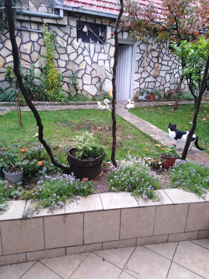 Apartament Janina Hisa Stolac Zewnętrze zdjęcie